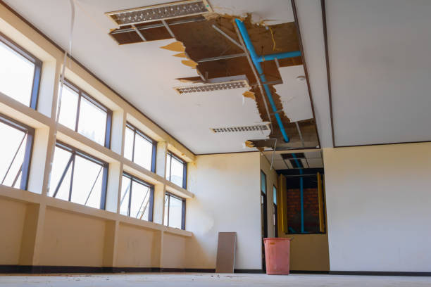 Best Commercial water damage restoration  in Findlay, OH