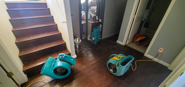 Best Carpet water damage restoration  in Findlay, OH