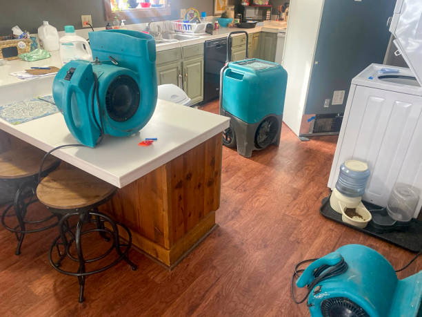 Professional Water damage restoration in Findlay, OH