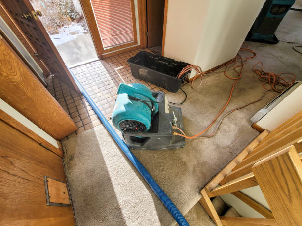 Best Flood damage cleanup  in Findlay, OH