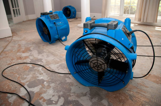 Best Basement water damage restoration  in Findlay, OH