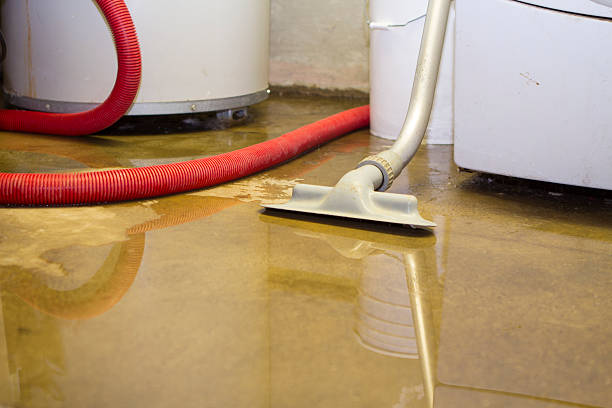 Best Water damage cleanup near me  in Findlay, OH