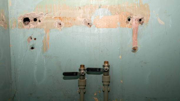 Best 24/7 water damage repair  in Findlay, OH