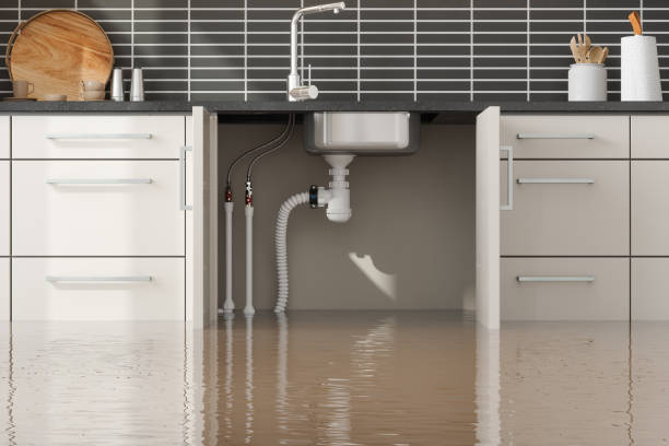 Best Water damage contractors near me  in Findlay, OH