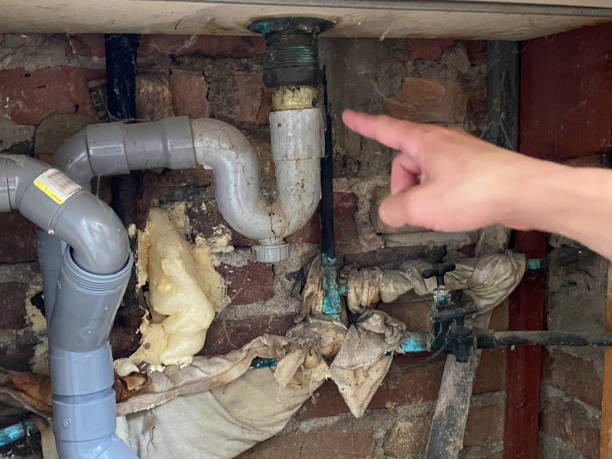 Sewage cleanup and water damage restoration in Findlay, OH