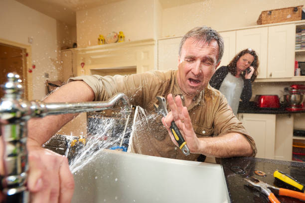 Best 24-hour water damage restoration  in Findlay, OH